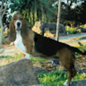 Meet your Posher, Bill